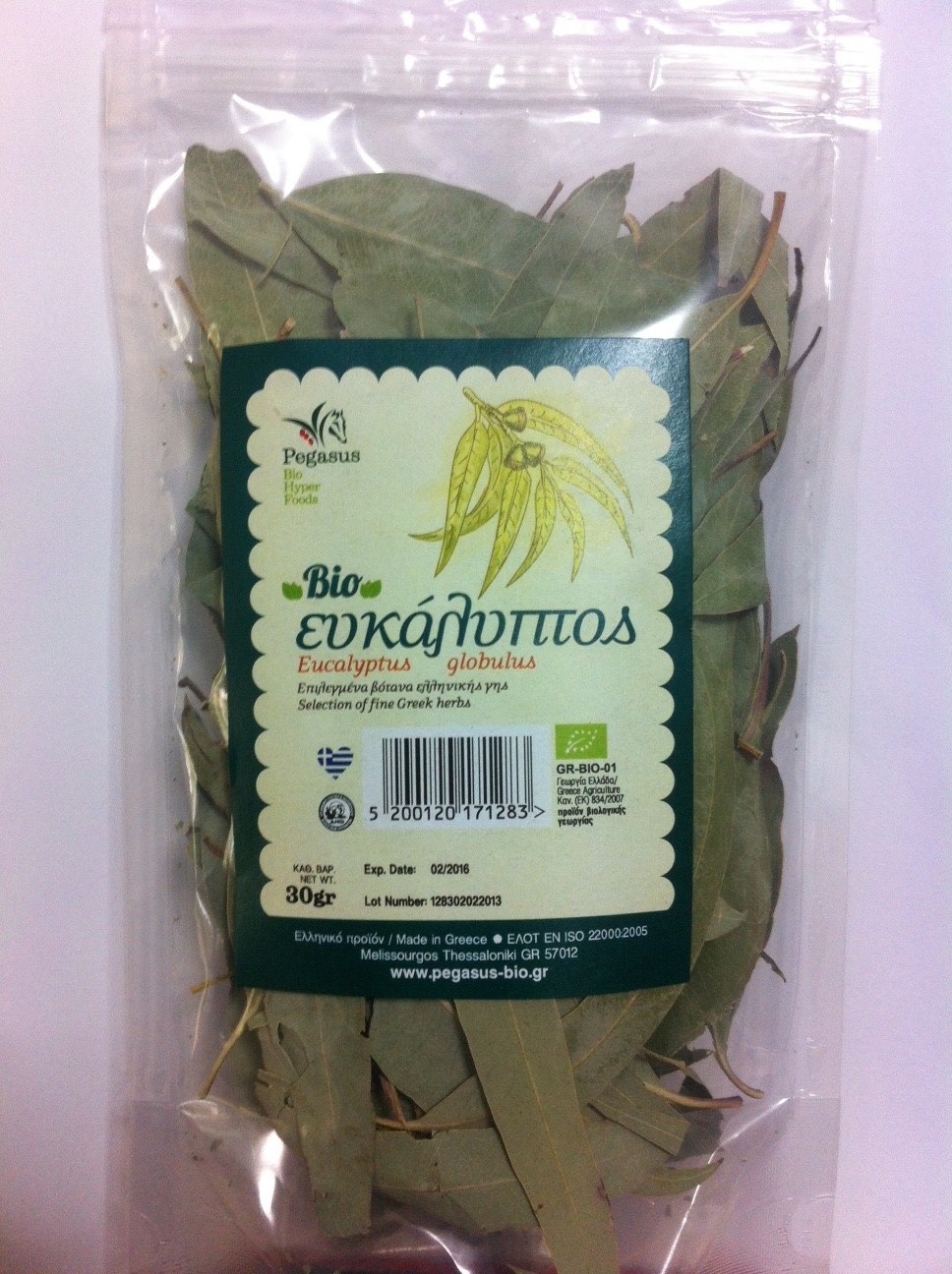 Eucalyptus