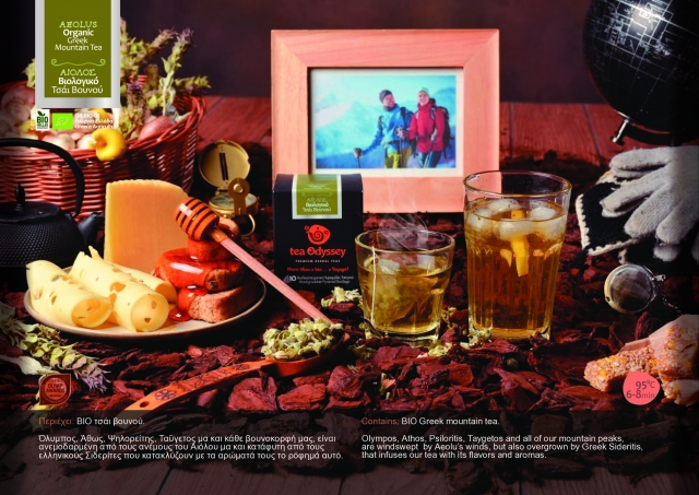 TeaOdyssey Brochure AEOLUS