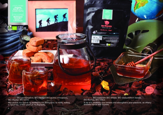 TeaOdyssey Brochure CYCLOPS