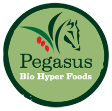 pegasus-logo-en